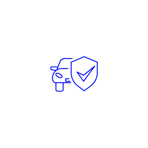 CarsInsured Logo